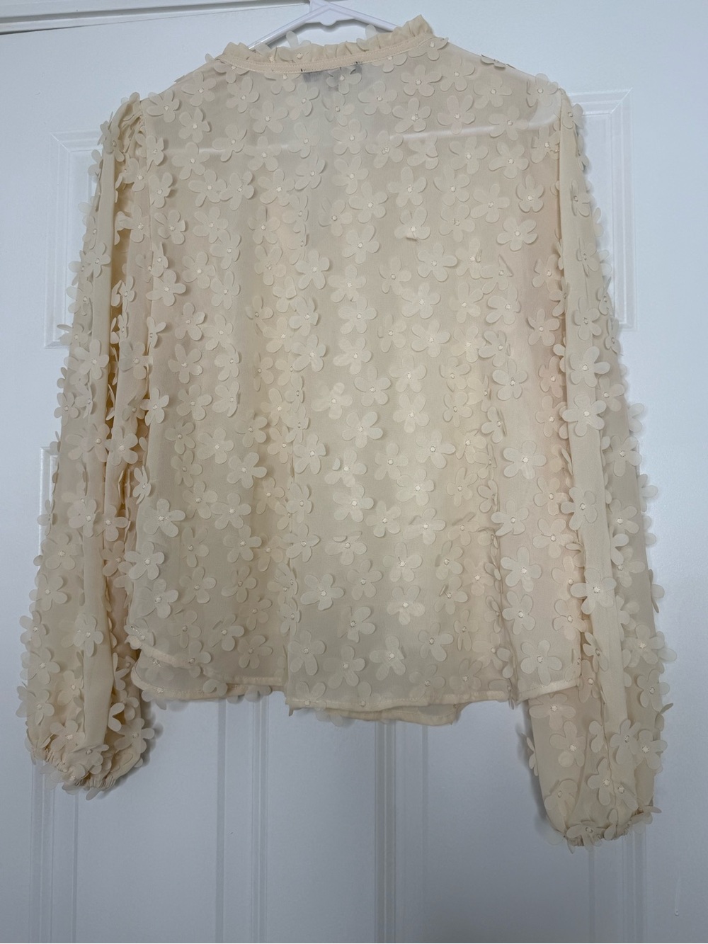Cream Floral Appliqué Sheer Blouse - Picture 6 of 6